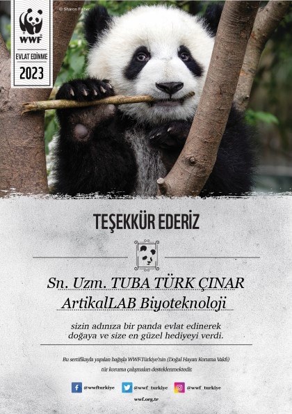 WWF panda evlat edinme sertifikası
