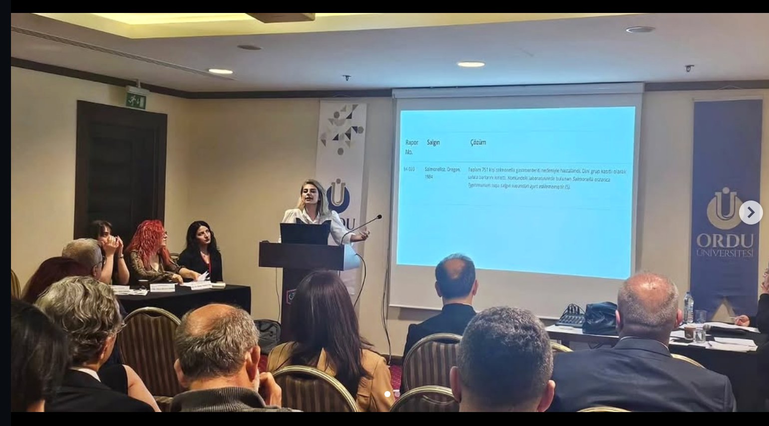 Panel ve sunum